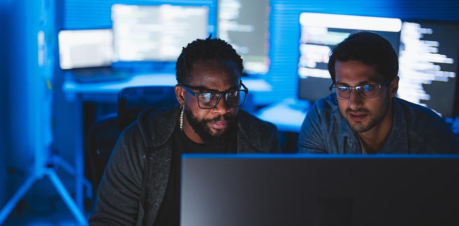Two male college workers looking at a computer screen.